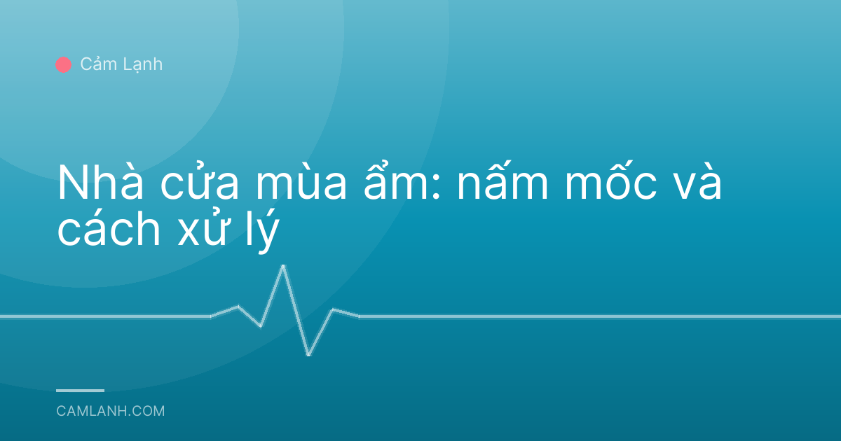 Nhà cửa mùa ẩm: nấm mốc và cách xử lý